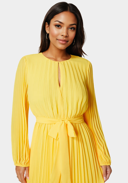 Pleated Gown With Long Sleeves