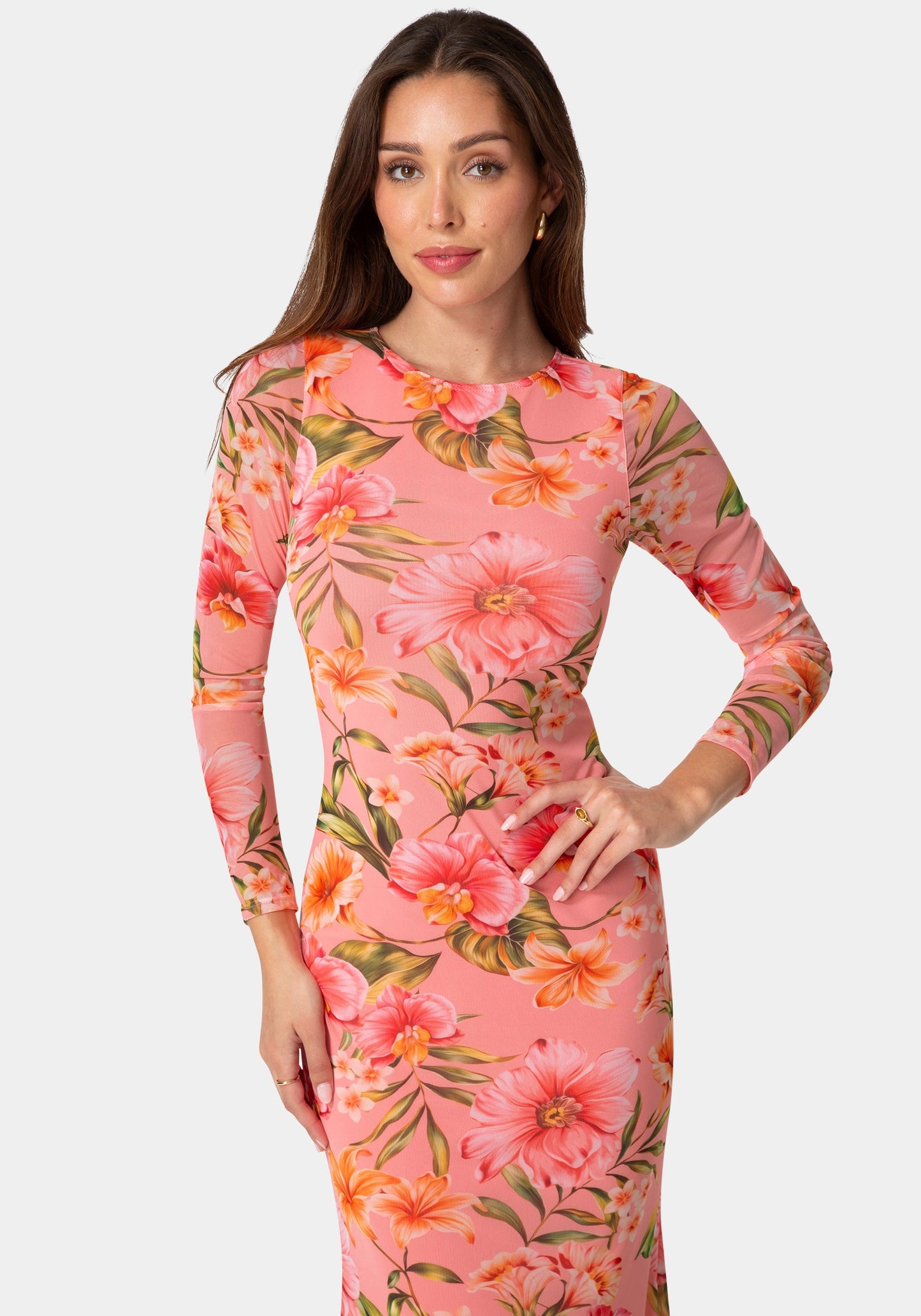 Long Sleeve Mesh Maxi Dress