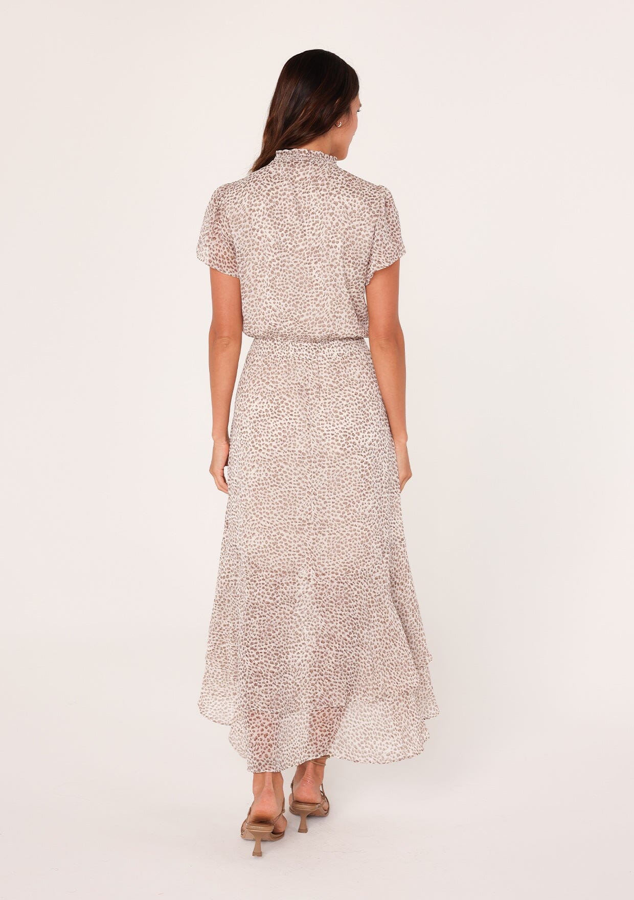 Alessia Animal Print Maxi Dress