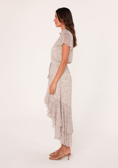 Alessia Animal Print Maxi Dress