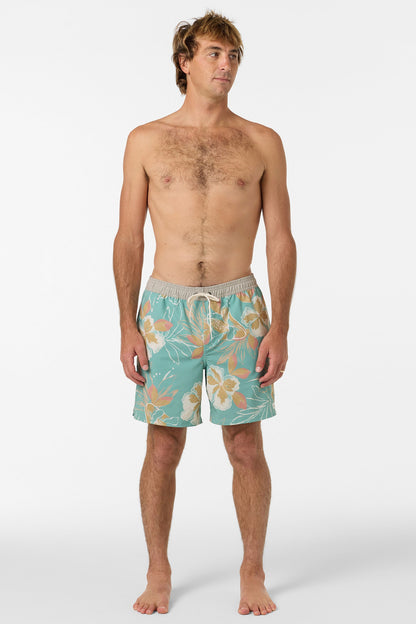 Hermosa Elastic Waist Lined 17" Swim Trunks