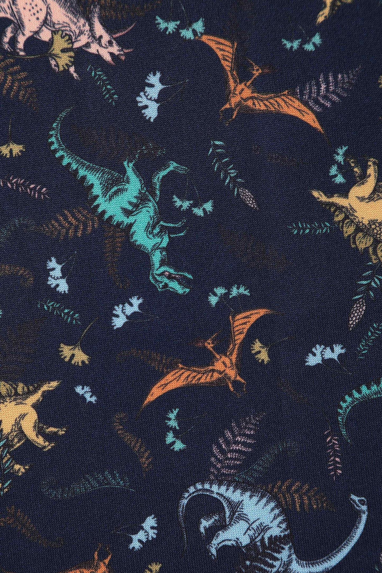 Amanda Multi-coloured Dinosaurs in Navy Blue Flared Dress